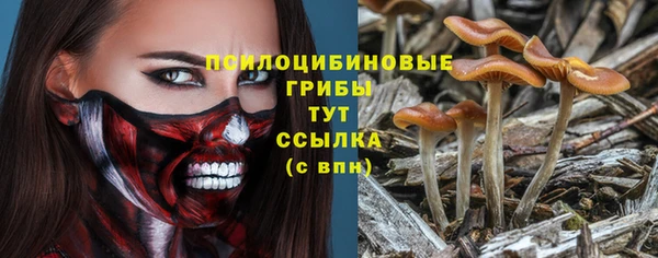 твердый Алзамай