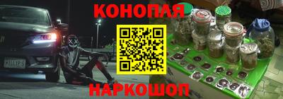 МДПВ Пушкино
