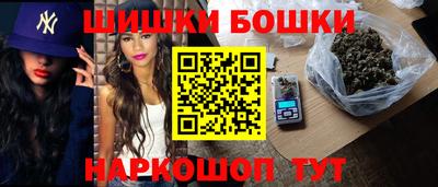 МДПВ Пушкино