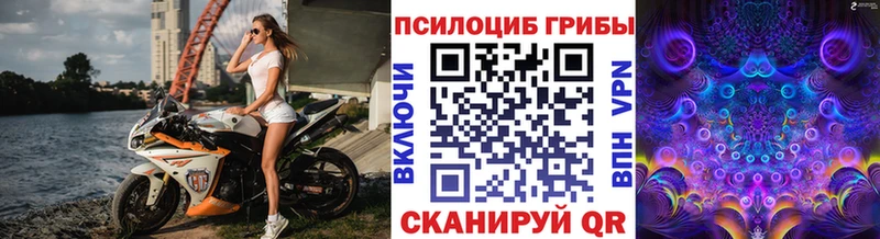дарнет шоп  Слободской  Псилоцибиновые грибы Cubensis 