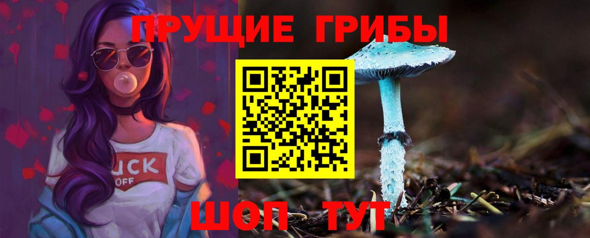 Галлюциногенные грибы MAGIC MUSHROOMS Слободской